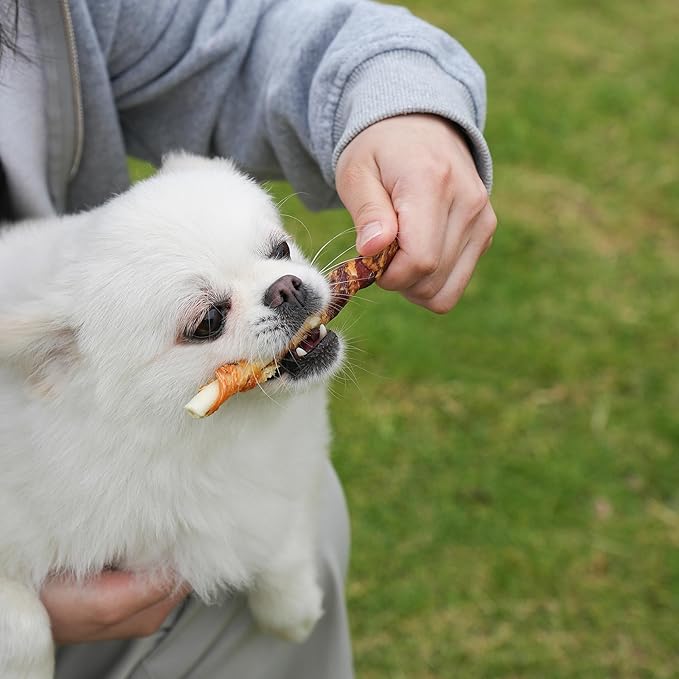 MON2SUN Dog Treats 5 Inch Double Flavor Chicken & Duck Wrapped Rawhide Sticks, Teeth Cleaning for Small Dogs, 21.16 oz (40 Count)