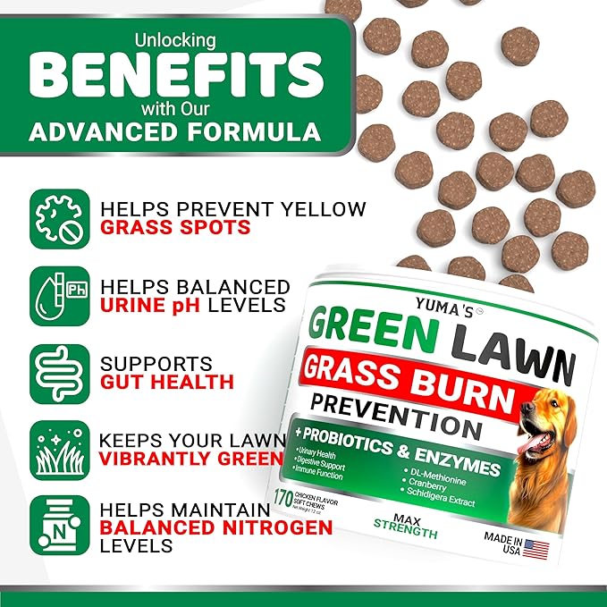 YUMA'S Dog Urine Neutralizer for Lawn - 170 Chews - Advanced Grass Green Savers for Dog Urine - Canine Pee Grass Neutralizer Supplement - Green Lawn Treats with Probiotics and Digestive Enzymes