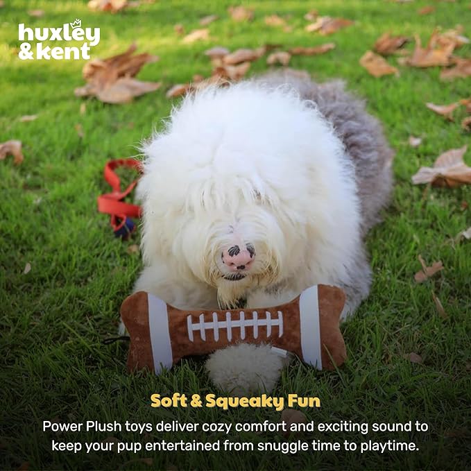 Huxley & Kent Funny Dog Toy w/Squeaker – Power Plush Squeaky Dog Toys for Small, Medium & Large Dogs – Soft Stuffed Animal for Indoor Play & Fetch - Football Bone, Small