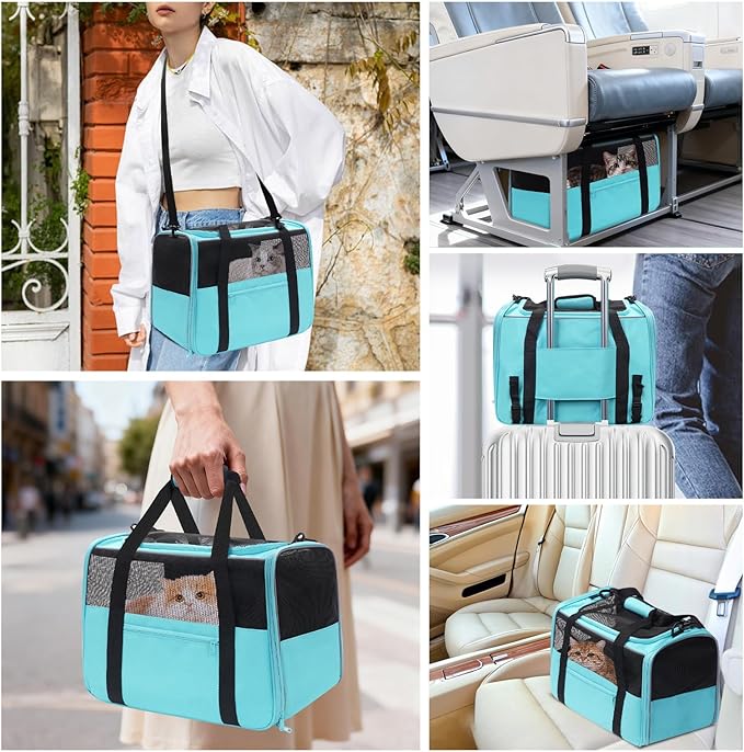JUNGYOUN Premium Cat Carrier - Pet Carrier for Cat & Small Dogs up to 15lbs - Airline Approved Travel Dog Carrier with Anti-Escape Zippers, Collapsible Travel Bowl & Padded Strap