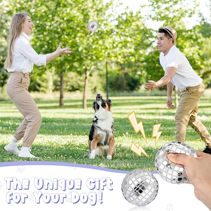 HyDren 2 Pcs Dog Disco Plush Balls, 4 in Squeaky Stuffed with Fluffy Squeaky Toys Pet Interactive Chew Balls for Small and Medium Puppy Dogs Cats