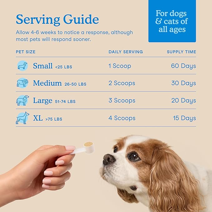 Fera Pets Cat & Dog Dental Support Powder - Supports Fresh Breath - Promotes Healthy Teeth and Gums - Targets Tartar Build-Up - Includes Kelp, Enzymes & Postbiotics - 60 Scoops