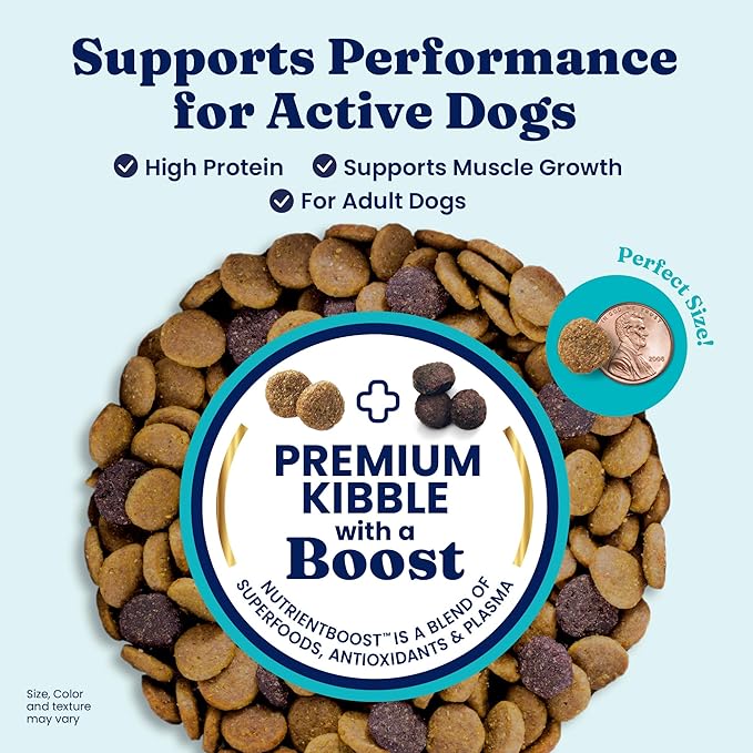 Solid Gold High Protein Dog Food Dry Dog Kibble - Premium Beef Protein & Digestive Probiotics for Energy, Muscle, Gut & Immune Support - Healthy Grain & Gluten Free Dogfood - Nutrientboost - 3.75 LB