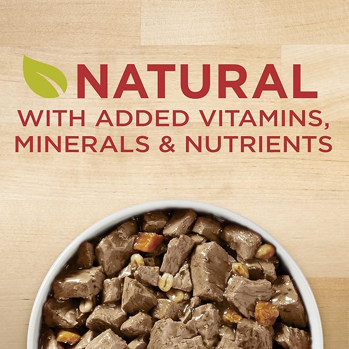 Purina ONE Natural Wet Dog Food Gravy, Tender Cuts in Gravy Beef and Barley Entrée - 13 Ounce (Pack of 12)