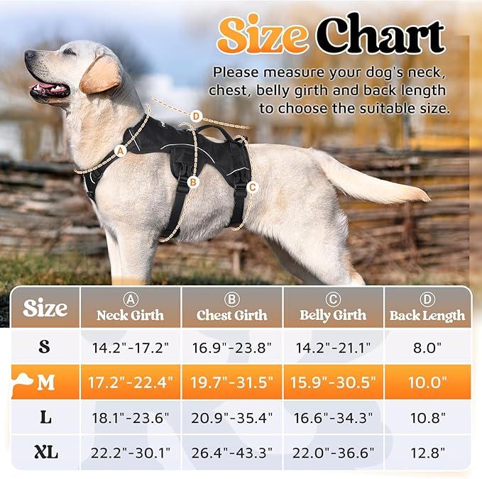 rabbitgoo Escape Proof Dog Harness, Soft Padded Full Body Pet Harness, Reflective Adjustable No Pull Vest with Lift Handle and Leash Clip for Large Dogs Walking Hiking Training, M, Black