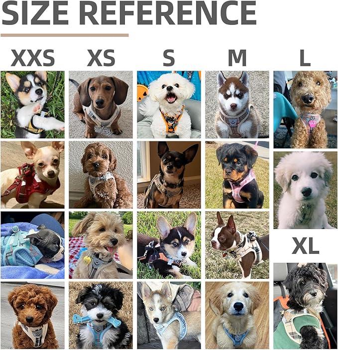 PUPTECK Adjustable Dog Harness Collar and Leash Set Step in No Pull Pet Harness for Small Medium Dogs Puppy and Cats Outdoor Walking Running, Soft Mesh Padded Reflective Vest Harnesses, Khaki S