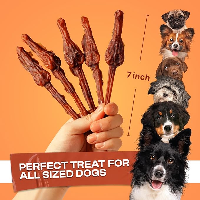 PETPHABET Alternative Bully Sticks Dog Chews - 7'' Digestible Rawhide Free Dog Treats for Medium Large Breed with Sensitive Stomachs, Healthy Snack with Low Odor, Beef Bully Flavor, 10 Count