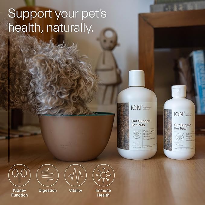 ION* Intelligence of Nature Gut Support for Pets - Liquid Probiotics Drops Alternative for Dogs & Cats, Digestive Health for Puppies, Skin & Hair Health - 16 fl oz (Pack of 1)