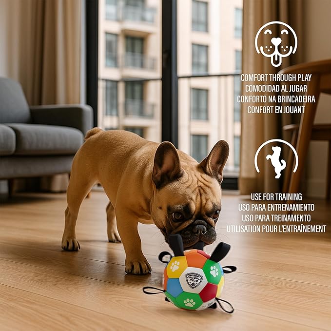 ProBall Pets Interactive Dog Soccer Ball with Grab Tabs - Floats on Water, Fetch & Training Toy for Small Medium Dogs, Herding Breeds - Waterproof Non-Toxic - 6" Multicolor