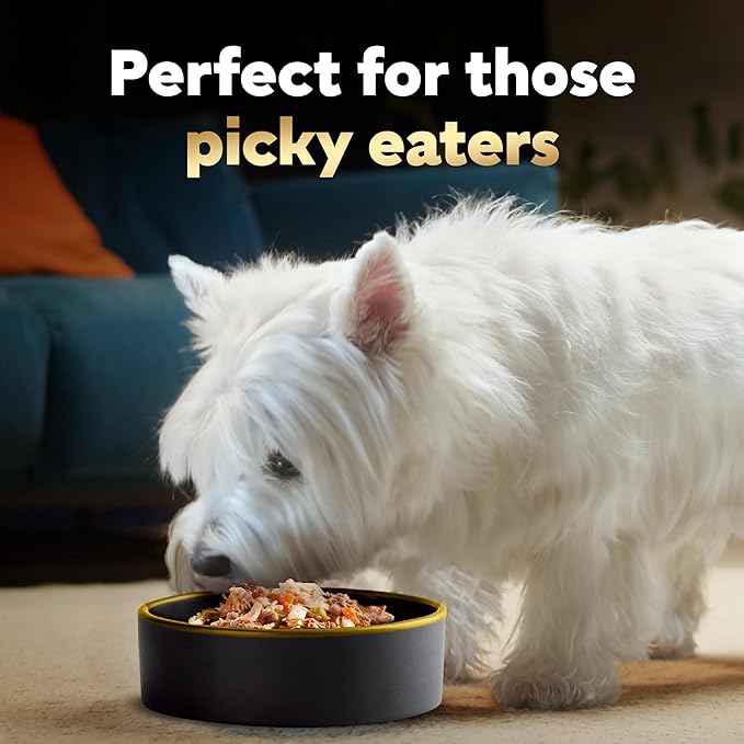 Cesar Simply Crafted Adult Wet Dog Food Meal Topper, Chicken, Duck, Purple Potatoes, Pumpkin, Green Beans & Brown Rice, 1.3oz. (10 Count, Pack of 1)