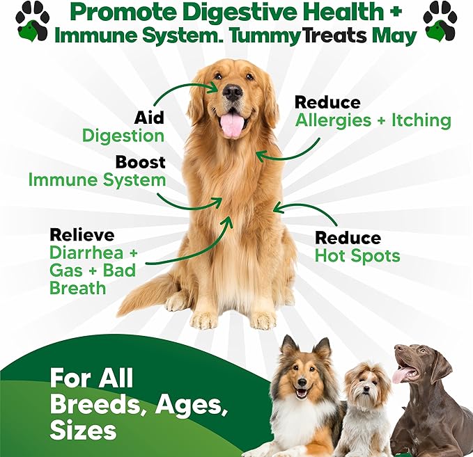 Probiotics for Dogs Digestive Health - Dog Probiotics and Digestive Enzymes - Allergy Relief for Dogs - Probiotic for Dogs Gut Health - Puppy Probiotic Tummy Treats - 120 Dog Probiotic Chews