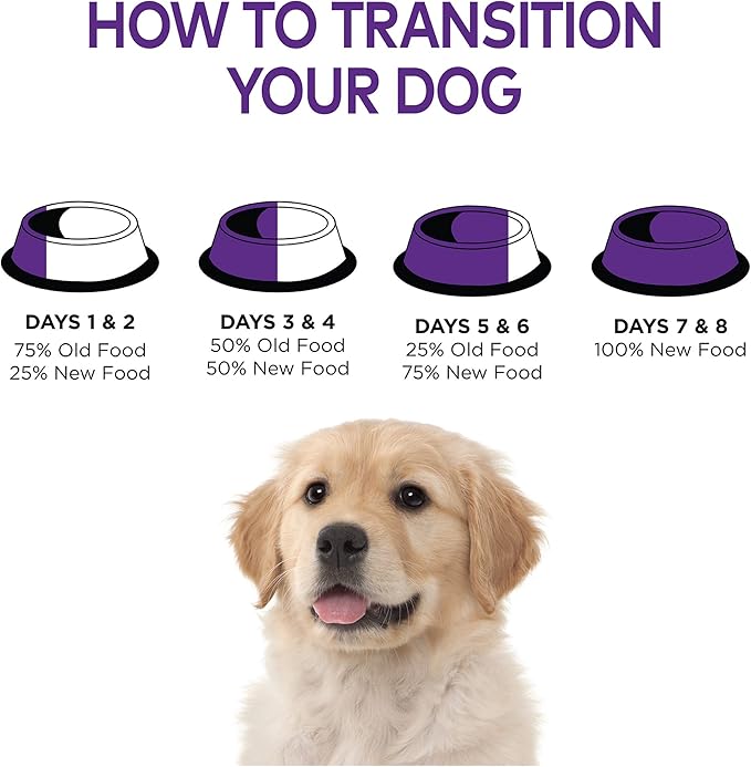 Wellness Natural Pet Food Complete Health Natural Dry Large Breed Puppy Food, Chicken, Salmon & Rice, 30-Pound Bag