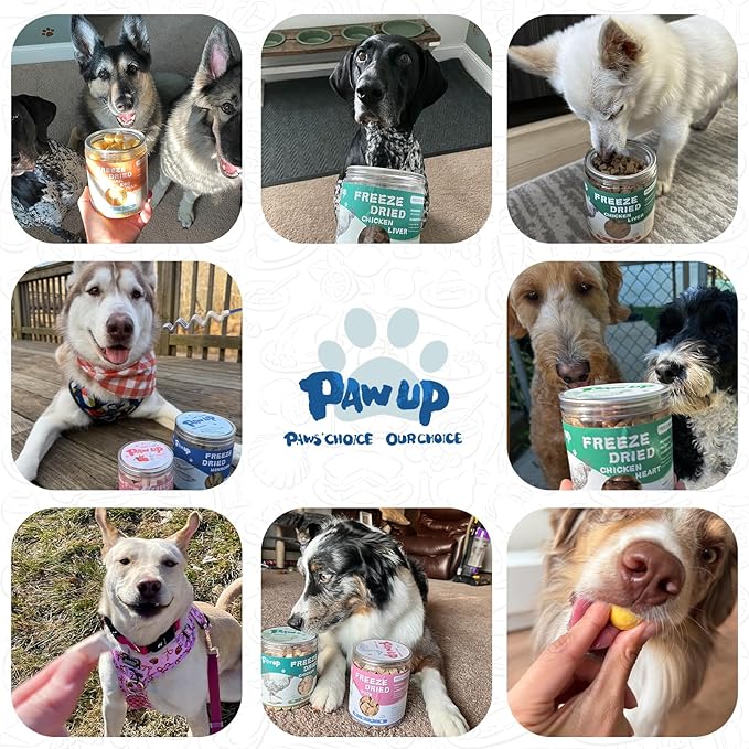 PAWUP Freeze Dried Capelin Dogs Treats – Raw Single Ingredient Dog Fish Snacks, Rich in Omega-3 for Skin & Coat Health, Grain Free, 3.5oz