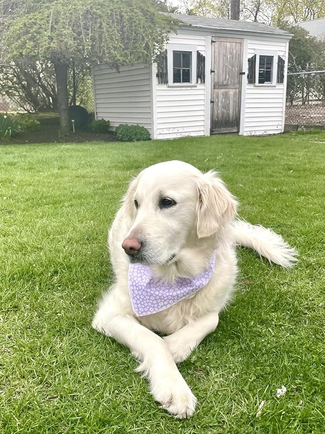 Lionet Paws Spring Daisy Dog Bandana Washable Cotton Handkerchief Scarf Triangle Bandana for Small Medium Large Dogs Girl Boy