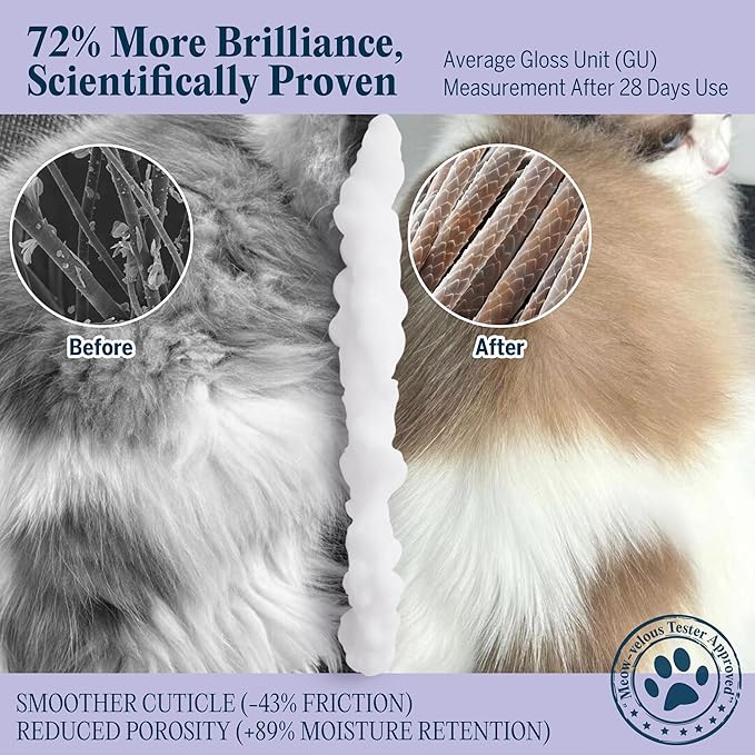 Pretty Kitty Waterless Cat Dry Shampoo with Grooming Glove– No Rinse, Lick-Safe, Moisturizing for Dry Skin, Dandruff, Deshedding, Wash Soap Spray Foam for Kittens, Bathing & Cleaning Supplies