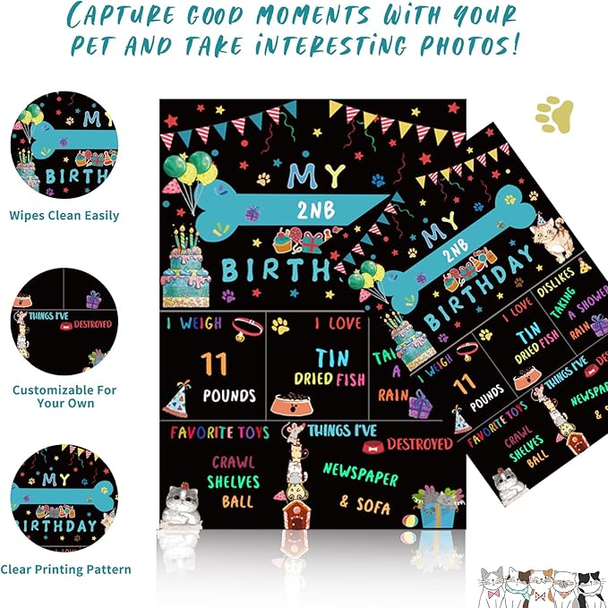 Cat Kitten Birthday Bandanas Cat Birthdays Party Supplies Party Hat Boy with Cat Birthdays Banner Balloons Meow Letter Foil Balloons for Boy Cats Kitten Decorations