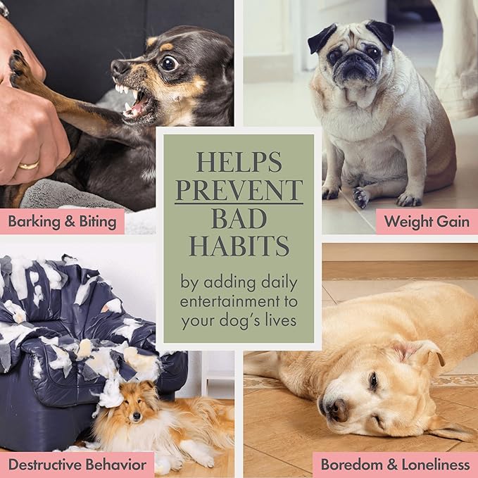 Nina Woof Organic Cotton Squeaky Dog Toys Fruits & Veggies Dog Toy Pack - Handmade Knit Dog Accessories, for Small Medium Dogs, Puppy Essentials and Puppy Toys Perfect Dog Gift