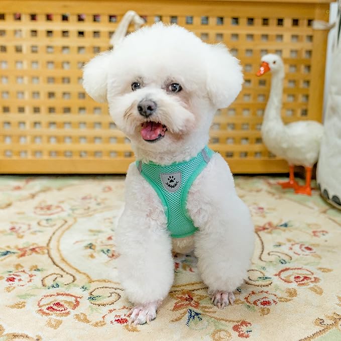 PUPTECK Adjustable Dog Harness Collar and Leash Set Step in No Pull Pet Harness for Small Medium Dogs Puppy and Cats Outdoor Walking Running, Soft Mesh Padded Reflective Vest Harnesses, Solid Green XS