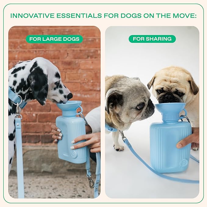 Springer by Springland Dog Water Bottle | Portable Travel Water Bottle Dispenser for Dogs | Dog Gift Seen on Oprah's Favorite Things, Shark Tank | Leak-Proof Bottles | BPA-Free 44oz Gray