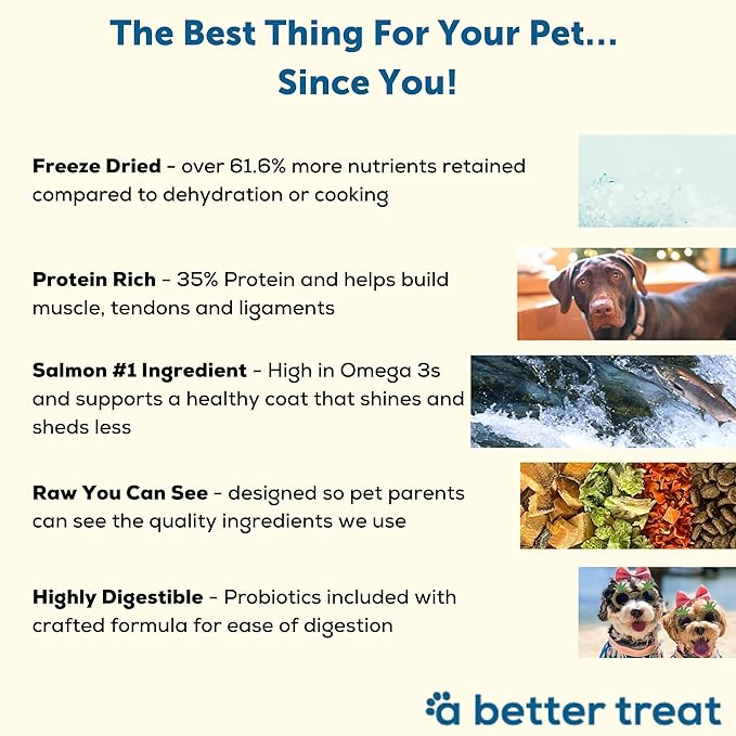 A Better Dog Food | Salmon Dry Dog Food | Raw You Can See | High Protein Kibble + Freeze Dried Raw Dog Food