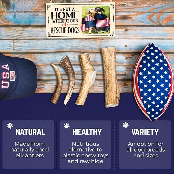 Devil Dog Pet Co. Elk Antlers for Dogs, Petite 3.5"+, 6 Pack, Grade A Long Lasting Chew for Aggressive Chewers, Premium USA Naturally Shed Antler – Healthy, No Odor, Durable Dog Chew