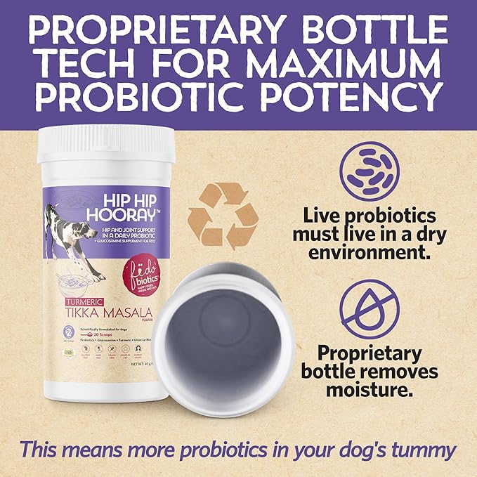 Fidobiotics Hip & Joint Support for Dogs, Daily Probiotics for Dogs with Glucosamine & Chondroitin for Gut Health and Mobility, Turmeric Tikka-Masala Flavor - 20 Servings