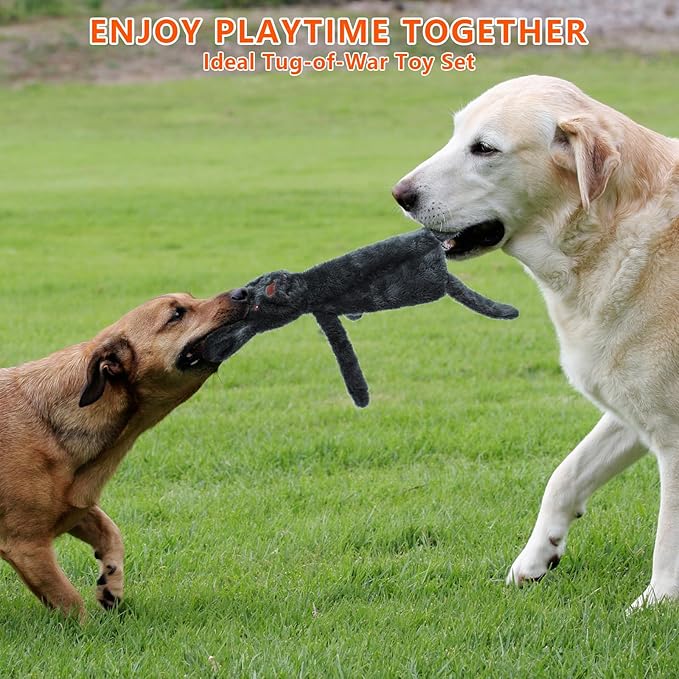 3 Pack No Stuffing Dog Toys,Dog Squeaky Toy to Keep Them Busy Interactive Dogs Toy for Boredom, Puppy Toys for Small, Medium, and Large Breed