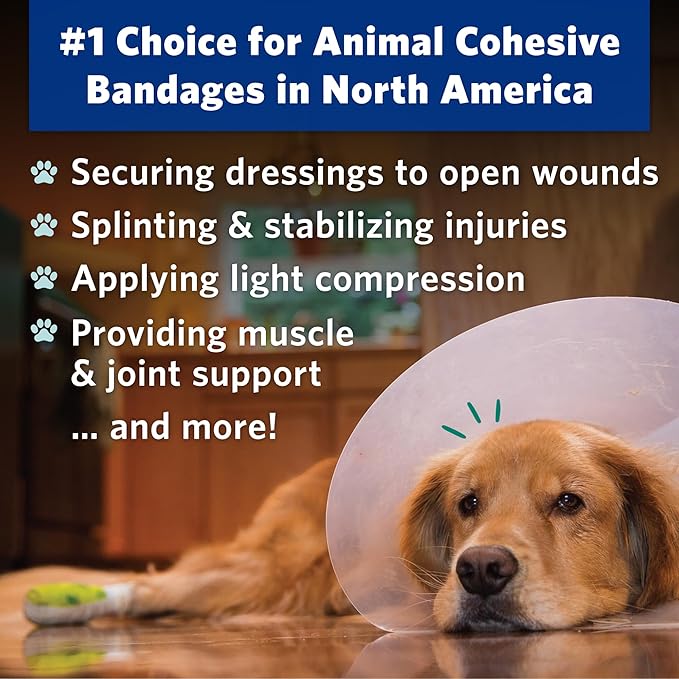 PetFlex No Chew – Flexible Self-Adhering Elastic Bandage for Wound Care – First Aid Wrap for Small Animals Like Dogs, Cats, and Other Pets - 2 inch, 36 Rolls