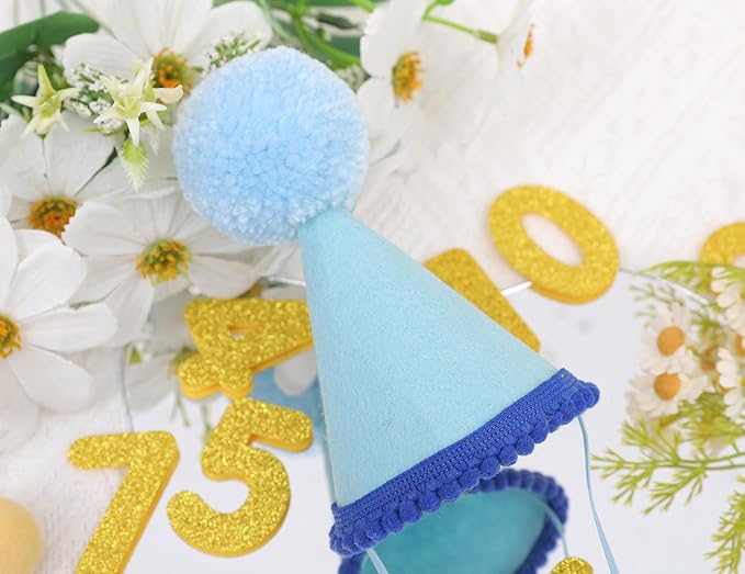 Pet Birthday Hat with Interchangeable Numbers 1-10 | Adjustable Pet Party Cone Hat for Dogs & Cats | Puppy Birthday Photo Props for 1st to 10th Birthday Celebrations (Blue Birthday Pet Hat)