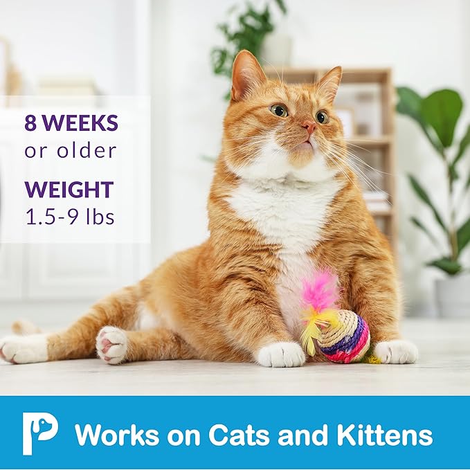 Flea and Tick Prevention for Cats & Kittens: Waterproof Topical Cat Flea and Tick Treatment – Fast-Acting & Long-Lasting At Home Flea Control for Cats Over 1.5 lbs and 8 Weeks or Older – 6-Dose Supply