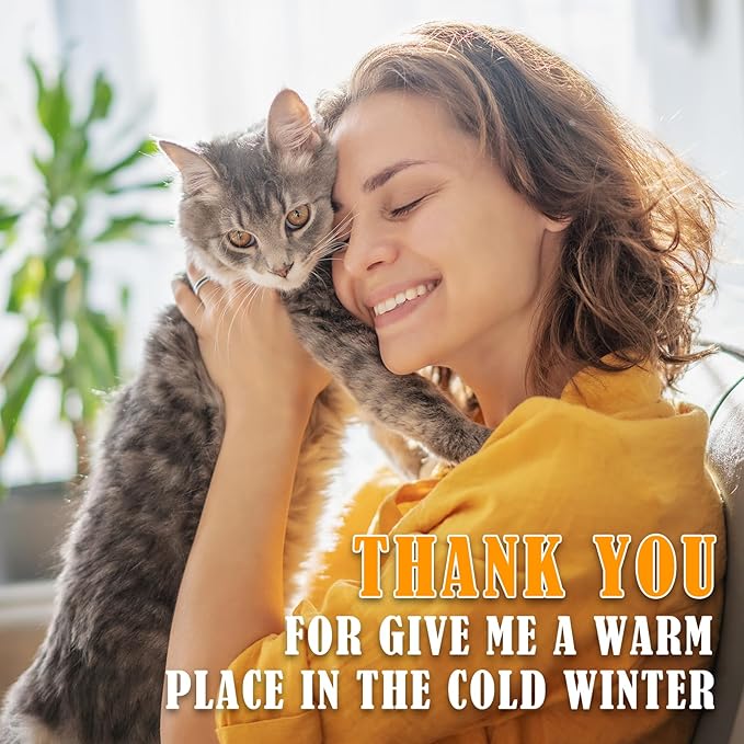 Kiroto Outdoor Pet Heating Pad for Cat Dog, Heated Mat with Waterproof Cover and Automatic Temperature Control, Suitable for Cat Houses, Dog Houses, Small Beds, Porches, 27" X 16",Blue