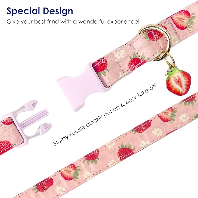 Cute Dog Collar Strawberry Pattern for Boys and Girls Holiday Dog Collars Summer Fall Gift Adjustable for Small to Medium Breed Dogs (Strawberry, XS)