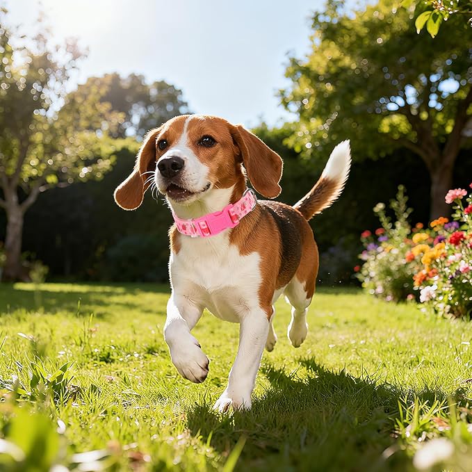 Pink Strawberry Dog Collar for Medium Dogs,Soft Nylon Adjustable Dog Collars for Small Medium Large XL Girl or boy Dogs(Strawberry M)