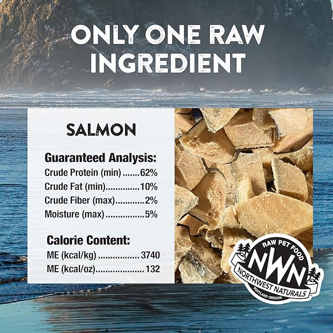Northwest Naturals Raw Rewards Freeze-Dried Salmon Treats for Dogs and Cats - Bite-Sized Pieces - Healthy, 1 Ingredient, Human Grade Pet Food, All Natural, Proudly Made in USA, 2.5 Oz (Pack of 3)