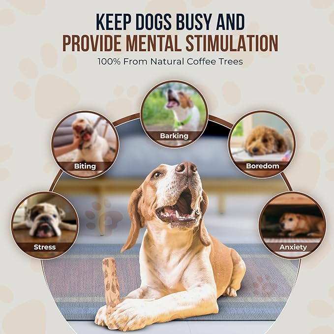 Coffee Wood Chew Toys for Dogs - 100% Natural Toys - Dog Wood chew Stick for Extra Large Chewer Over 99 lbs - 2 Pack - Teeth Cleaning, Stress Relief - Organic Toy