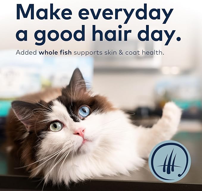 ZIWI Peak Steam & Dried Cat Food – Cage-Free Chicken w/Whole Mackerel - High Protein, Skin & Coat Health, Low Carb, for All Life Stages (28.8oz)