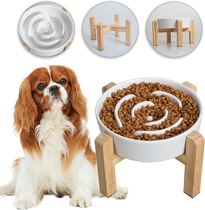 Elevated Slow Feeder Dog Bowl - Ceramic Maze Food Dish with Bamboo Stand - Raised Feeding Bowl for Fast Eaters - Ideal for Small and Medium Dogs - White - 6.7 inch
