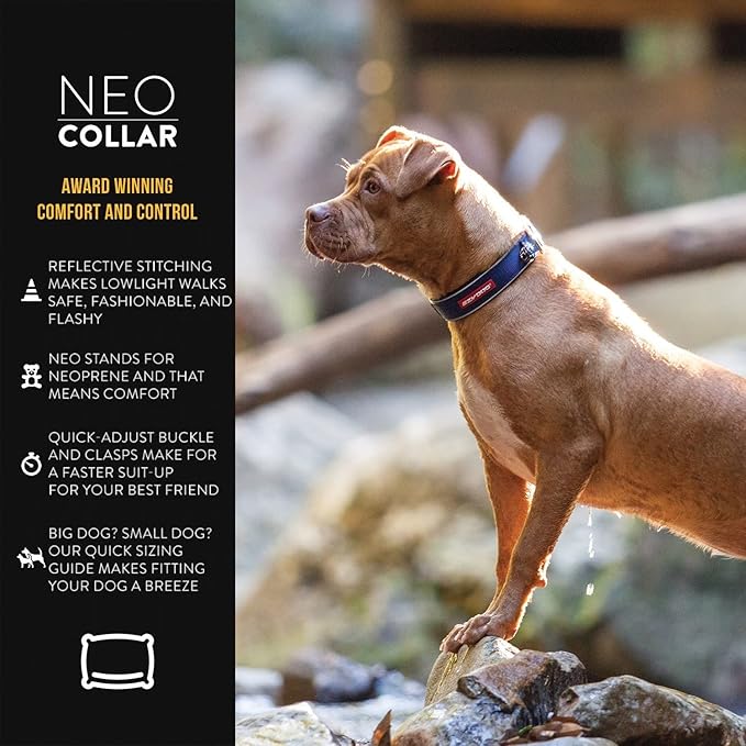 EzyDog Neo Dog Collar - Waterproof & Reflective Dog Collar with Soft Padded Neoprene for Comfort & Durable Nylon – Features Quick Release Buckle and Built-in ID Clip (X-Large, Purple)