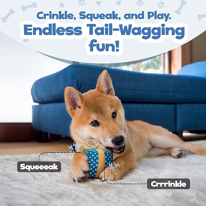 Gift Box Dog Toy – Christmas & Birthday Dog Toy, Interactive Squeaker,Rope, and Crinkles for Cute Puppy Stocking Stuffer