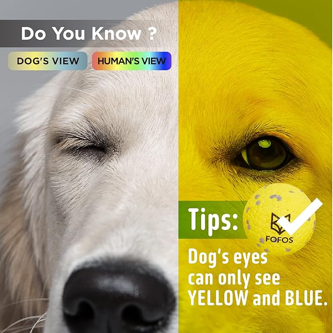 FOFOS Dog Balls Chew Toys Tennis Ball for Aggressive Chewers Teething Molar Toys Water Toy Interactive Fetch Balls Gift Set for Large Medium Dog and Puppies (4 Pack, 2.75 inch)