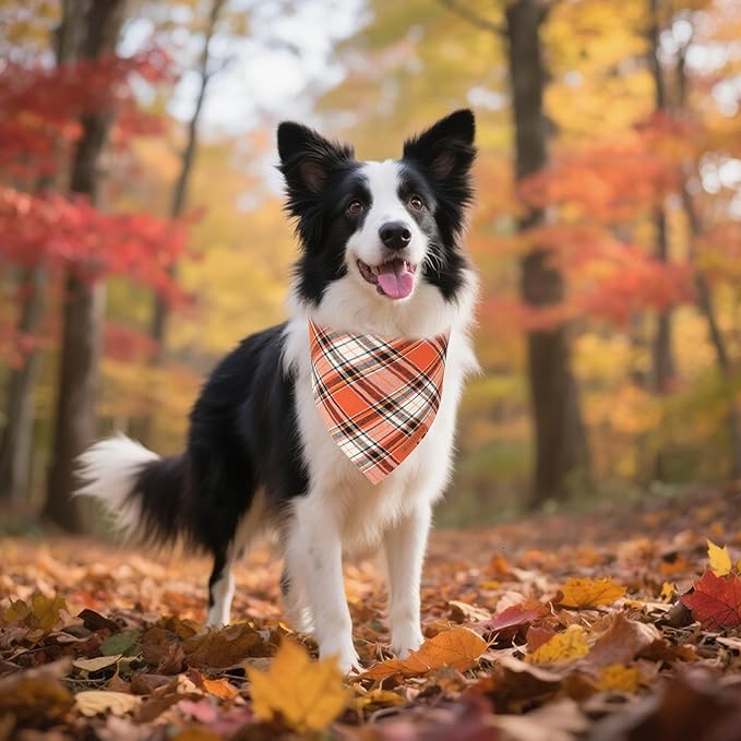 ADOGGYGO Fall Dog Bandanas 2 Pack, Premium Cotton Fabric, Orange Plaid Holiday Pet Scarf, Fall Thanksgiving Halloween Bandanas for Medium Large Dogs (Large)
