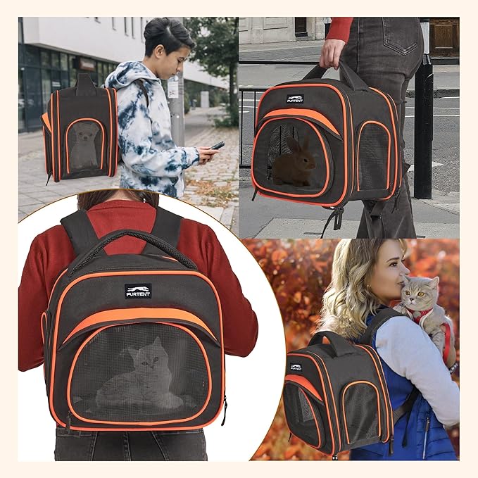 Cat Carrier Backpack, Breathable Collapsible Pet Bag with Safety Leash for Guinea, Kitten, Rabbit Weighing up to 8 Pounds Designed for Travel, Hiking, Walking and Outdoor Use, Black-Orange