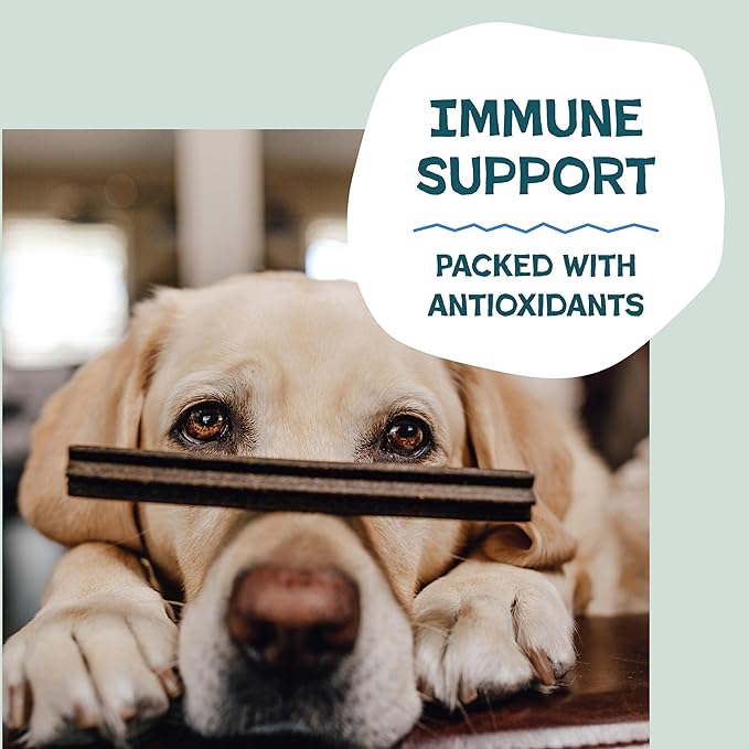 Shameless Pets Dental Treats for Dogs, The Tooth Berry - Healthy Dental Sticks with Immune Support for Teeth Cleaning & Fresh Breath - Free from Grain, Corn & Soy