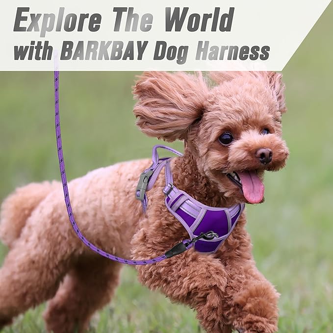 BARKBAY No Pull Dog Harness Front Clip Heavy Duty Reflective Easy Control Handle for Large Dog Walking(Violet Purple & Purple,XS)