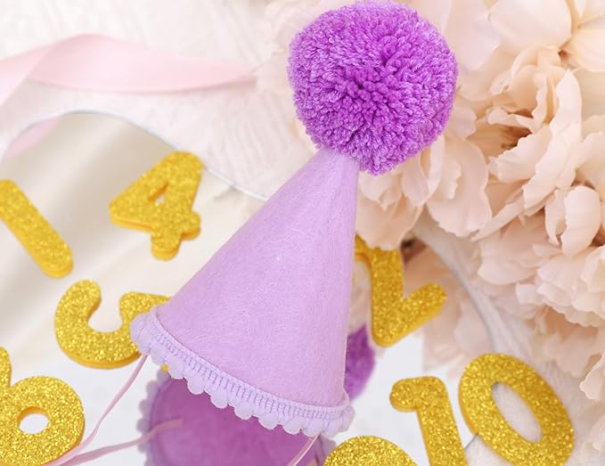 Pet Birthday Hat with Interchangeable Numbers 1-10 | Adjustable Pet Party Cone Hat for Dogs & Cats | Puppy Birthday Photo Props for 1st to 10th Birthday Celebrations (Purple Birthday Pet Hat)
