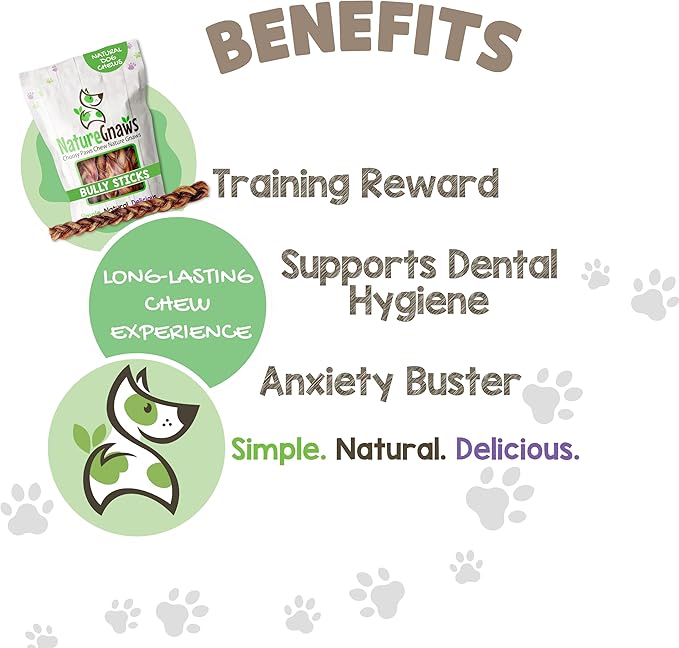 Nature Gnaws Braided Bully Sticks for Dogs 11-12" (5 Count) - Long Lasting for Aggressive Chewers and Large Dogs - Natural Beef Dog Chew Bones