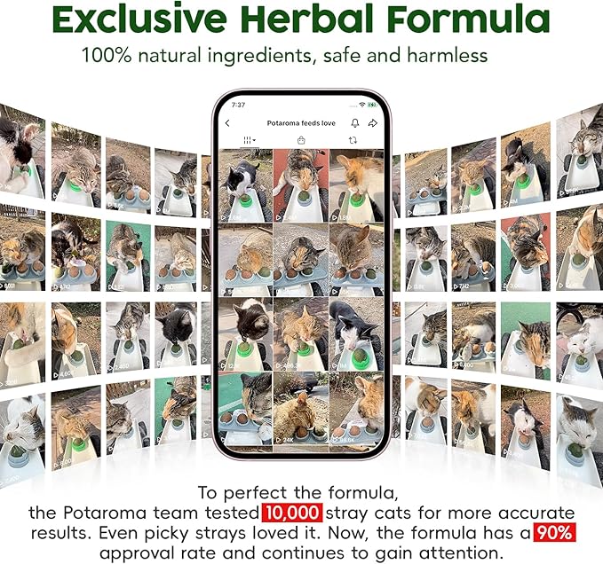 Potaroma 4 Catnip Silvervine Ball Toys, Extra Cat Energy Ball, Edible Cats Lick Kitten Chew, Teeth Cleaning Dental Wall Treats, Concentrated Flavor for All Breeds