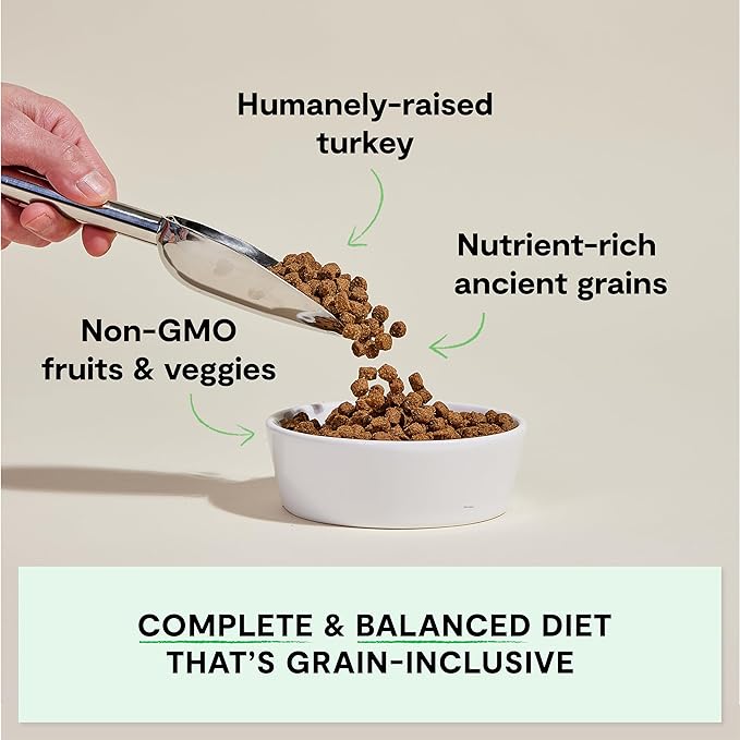 Open Farm, Ancient Grains Dry Dog Food, Protein-Rich & Nutrient Dense, 90% Animal Protein Mixed with Non-GMO Fruits, Veggies and Superfoods, Homestead Turkey Recipe, 22lb Bag