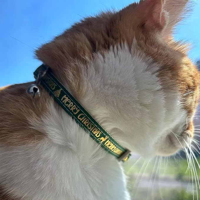 Pet Deshedding Tool with Curve Blade, Cat Grooming Brush, Tight V-shaped Teeth Shedding Comb for Cats and Dogs (Green, Small)