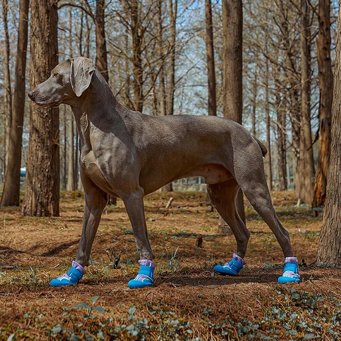 Dog Shoes, Waterproof Dog Boots & Paw Protectors with Anti-Slip Sole, 4pcs/Set Pet Dog Booties, Reflective Dog Shoes for Small Medium Large, Winter Snowy Summer Hot Pavement (Blue, 1# (3XS))
